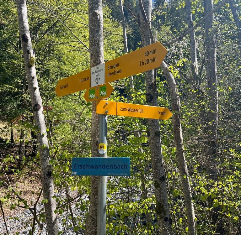Detailed yellow signs point the way all over Switzerland