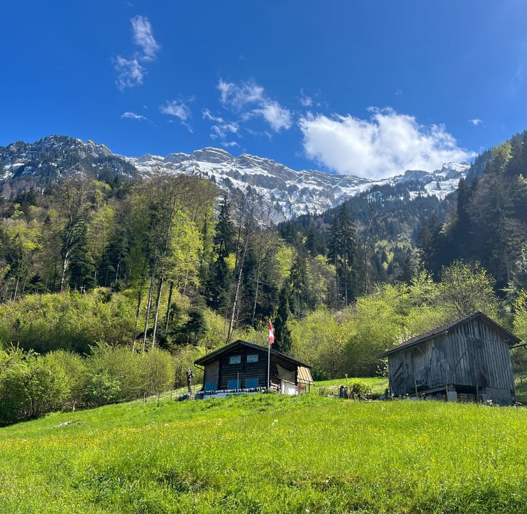 A view into the mountains above Bönigen Switzerland