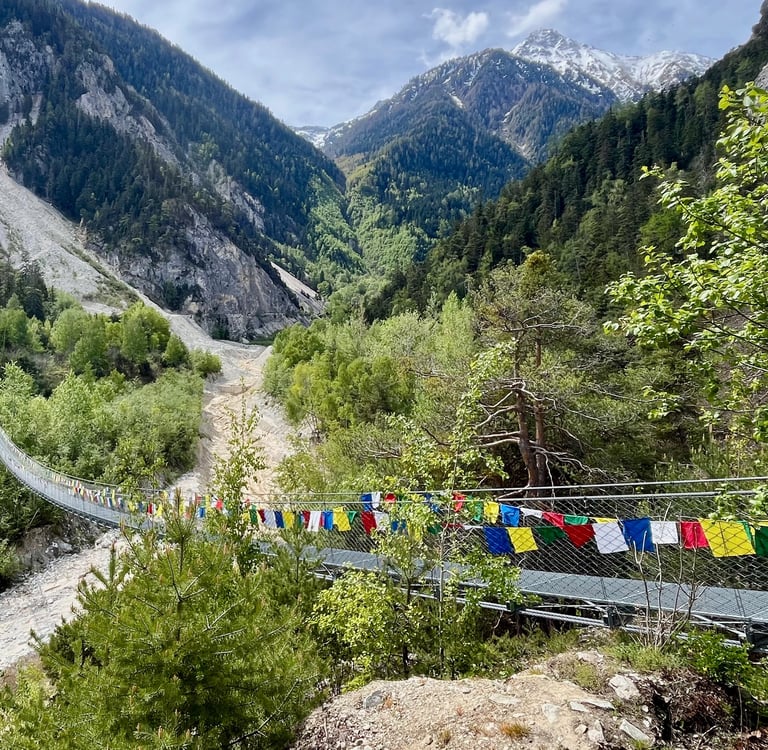 View looking up the Illgraben at the Bhutan Brucke in Switzerland's Pfynwald Forest in the Valais