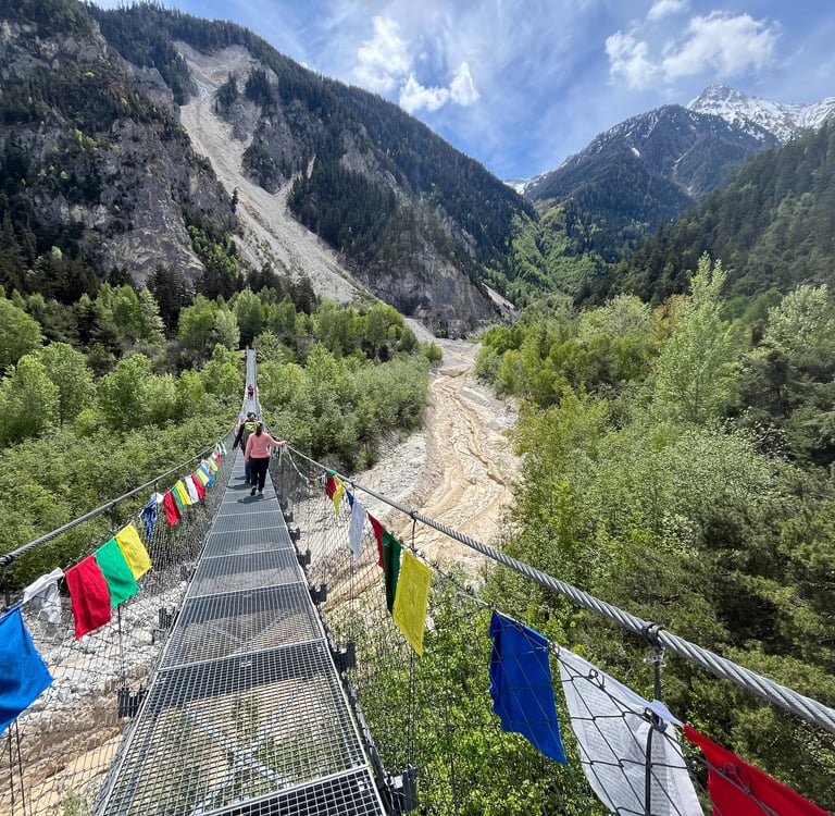 Crossing the Bhutan Brucke in the Pfynwald forest