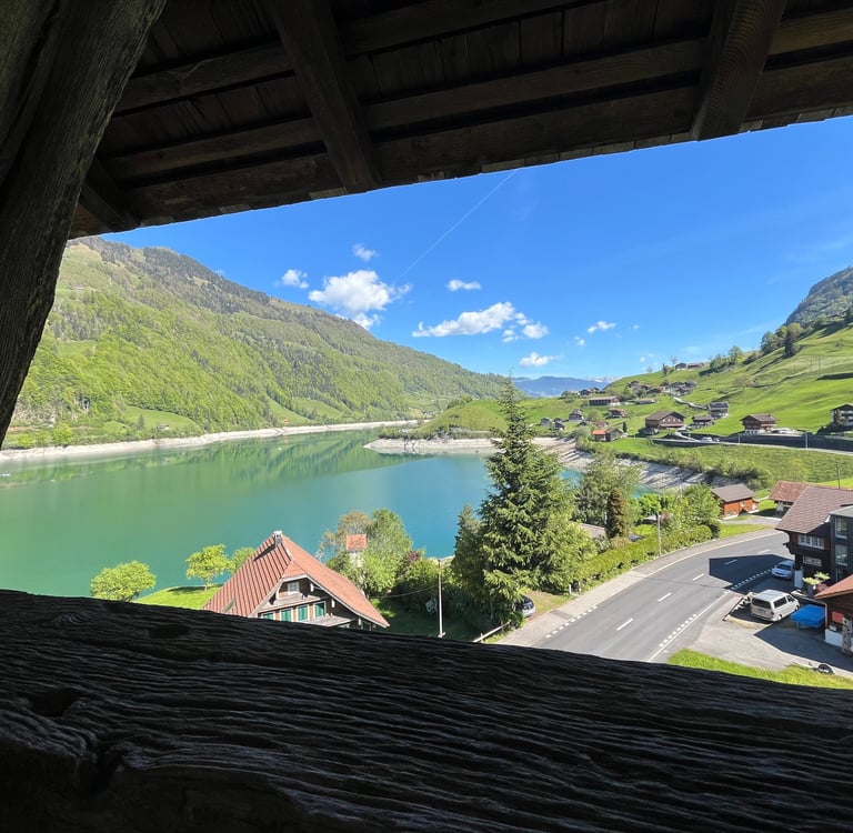 View from the old Lungern Church tower