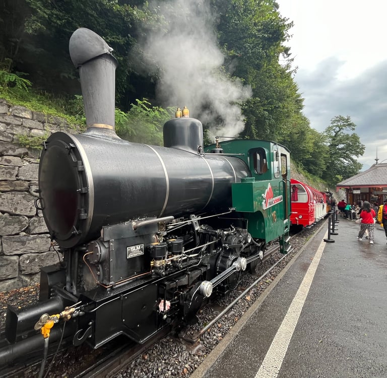 Steam locomotive on the Brienzer Rothorn Bahn
