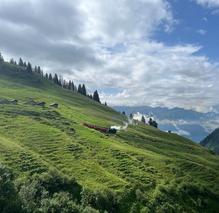 The steep rise of the Brienzer Rothorn Bahn