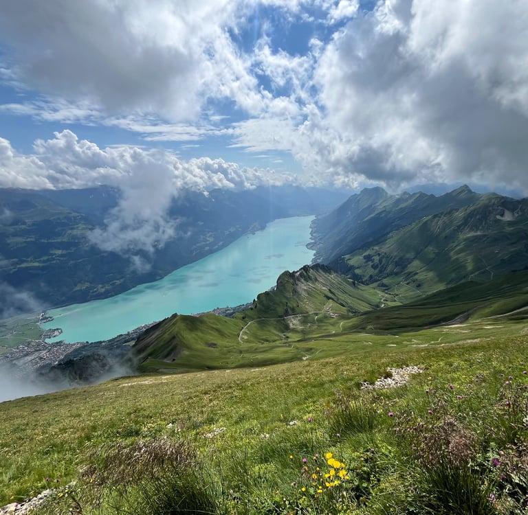 Lake Brienz from the Brienzer Rothorn Bahn