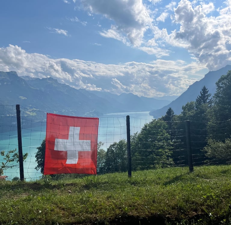 Views from the Brienzer Rothorn Bahn