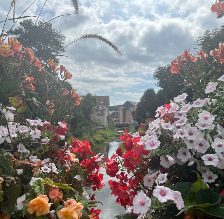 Flowers in Porrentruy in the Canton of Jura