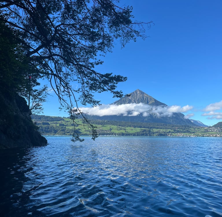 Niesen from the Nastel Nature Reserve on Lake Thun