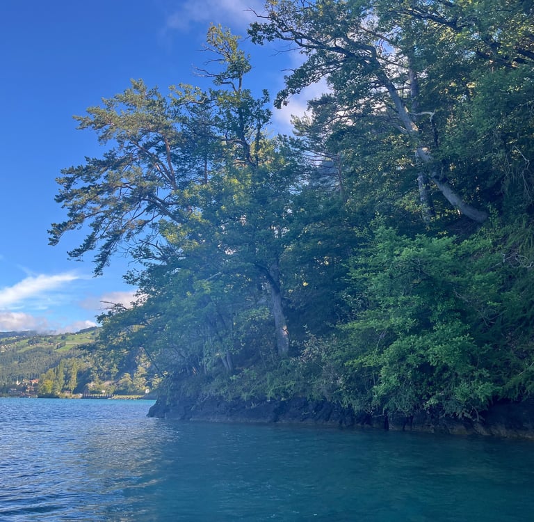 The Nastel Nature Reserve on Lake Thun