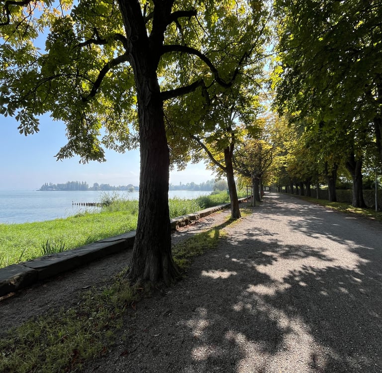 Views from the Arbon waterfront