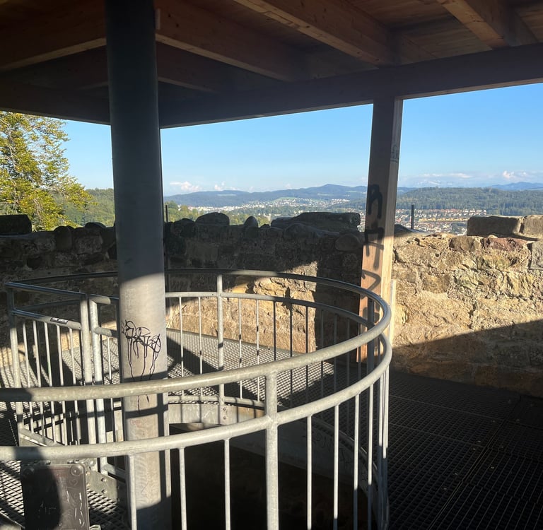 The top of the Alt Wülflingen viewing platform