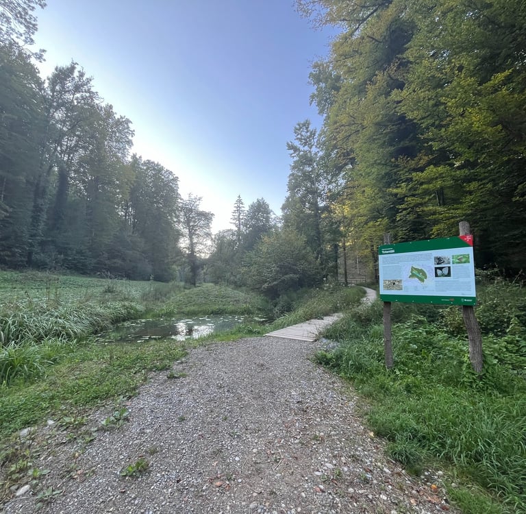 The Totentali Wetlands outside of Winterthur