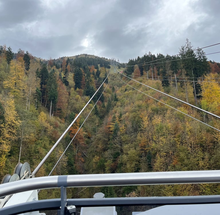Wonderful fall colors from the Cabrio