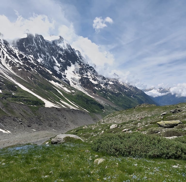 Wildflowers abound in the Lötschental