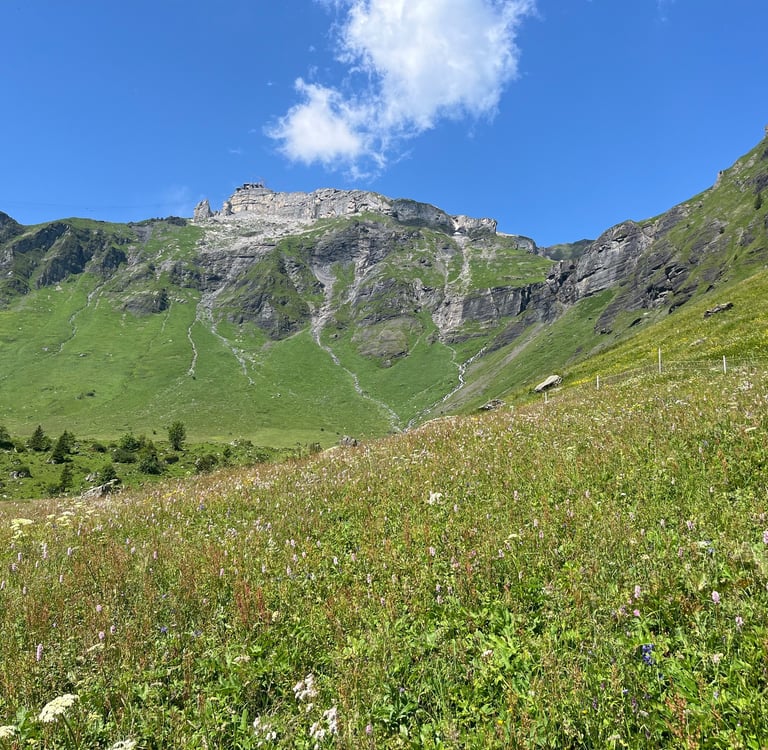 Looking up at Birg on the Schilthornbahn