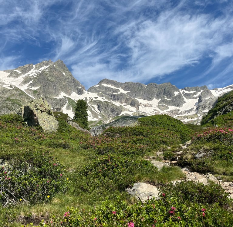 The mountains above Sustenbrüggli