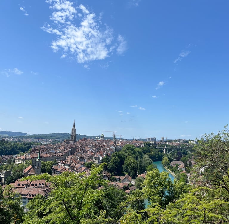 View of Bern from the Rosengarten