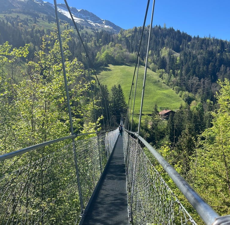 Looking down Hangebrucke Hostalde outside of Frutigen