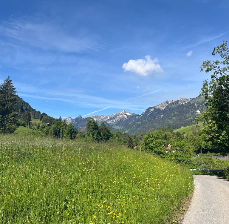 The path of the Simmentaler Hausweg