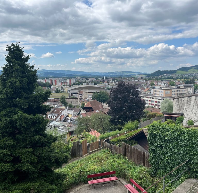 Looking out over the Thun city walls