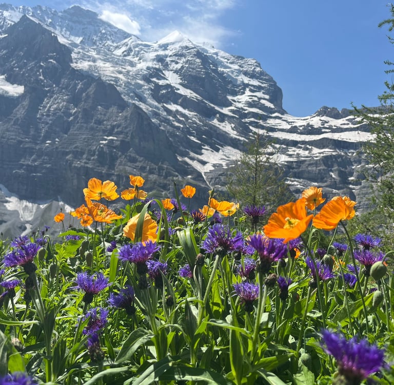 Jungfrau with flowers in the foreground
