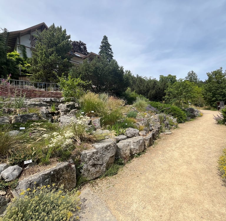 Botanical gardens in Neuchâtel Switzerland