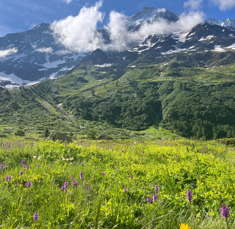The glacial foreland landscape of the Lötschental