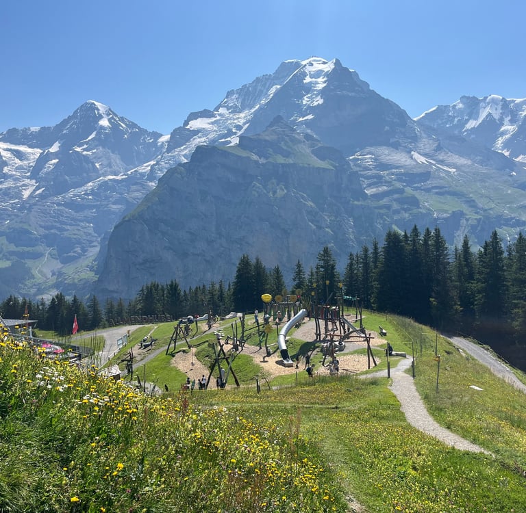 Looking down on Allmendhubel