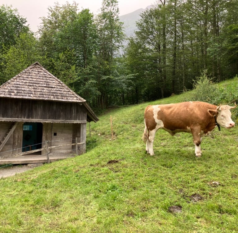 Traditional alpine construction at Ballenberg