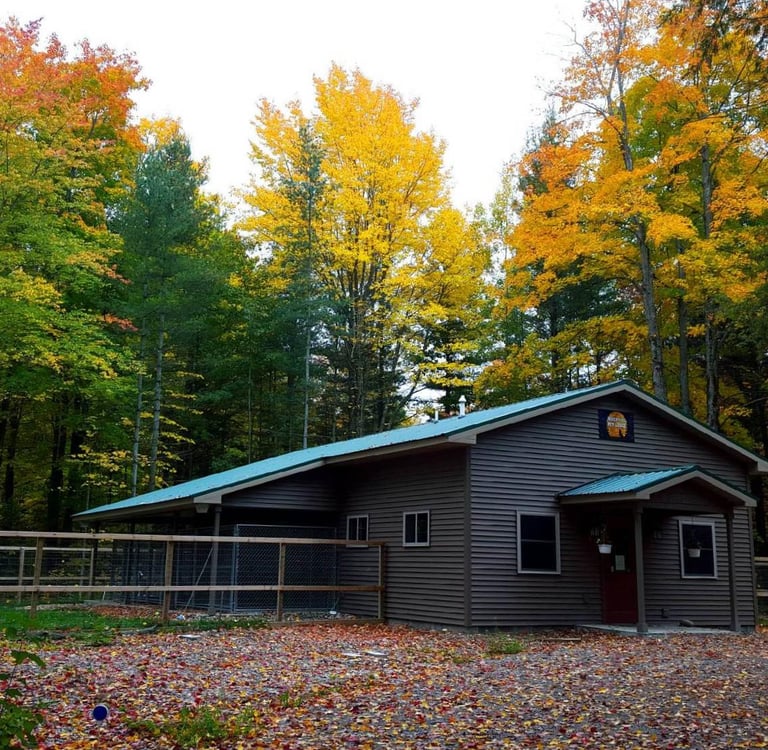 outside picture of boarding kennel in the fall with leaves changing