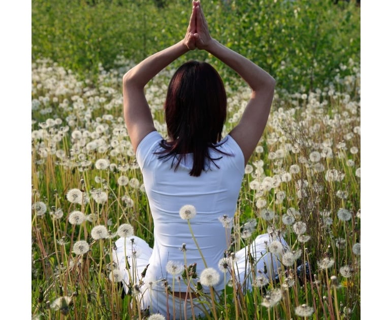 A woman practicing yoga and meditation in a sunny field of white dandelions.