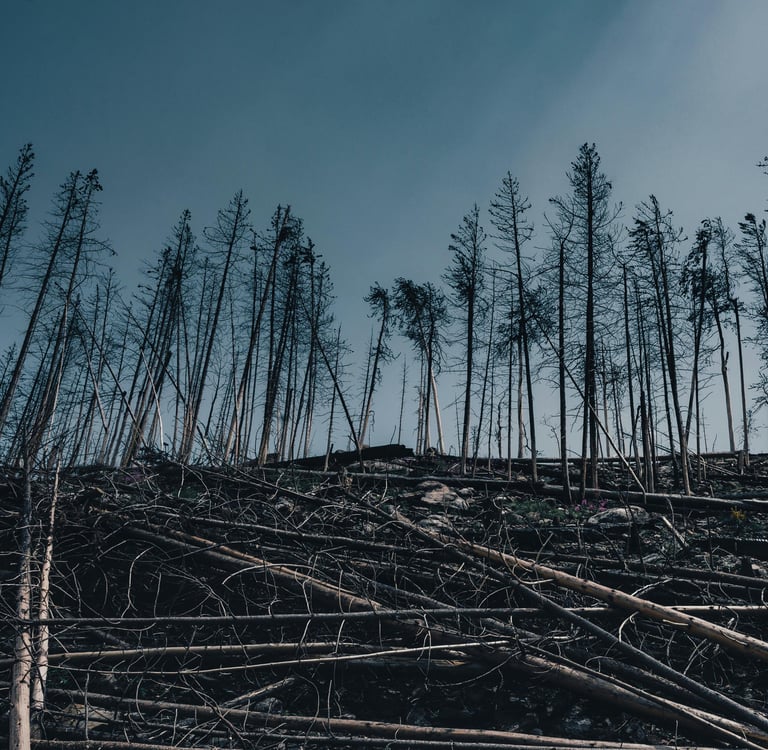 caducidad del expediente sancionador