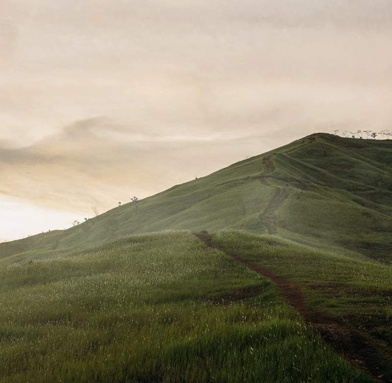 Acuerdo del Pleno no jurisdiccional de la Sala Tercera del Tribunal Supremo de 26/11/2025