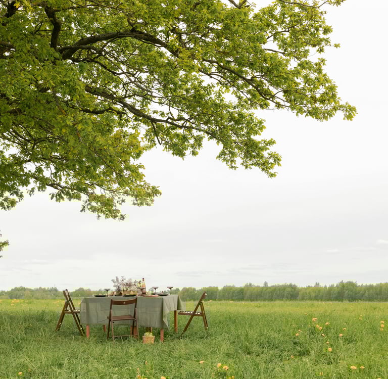 la falta de control judicial sobre la inadmisión de una Iniciativa Legislativa Popular 