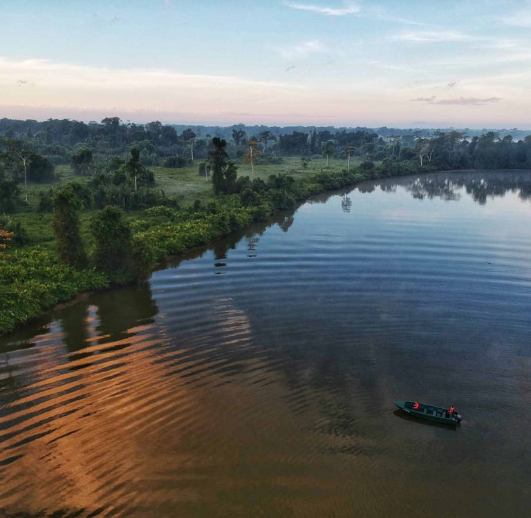 Kinabatangan River, Sabah Borneo