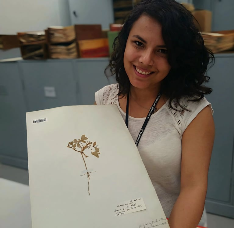 Suzi Santana segurando uma planta prensada, entre ciência botânica e retorno à presença espiritual