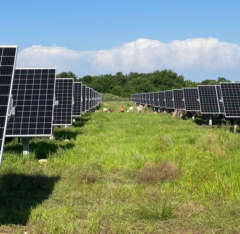 a field of solar panels with solar panels