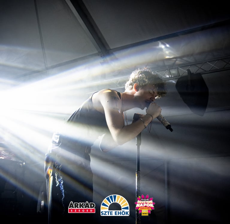 Mehringer Concert Image by Vass Gergo