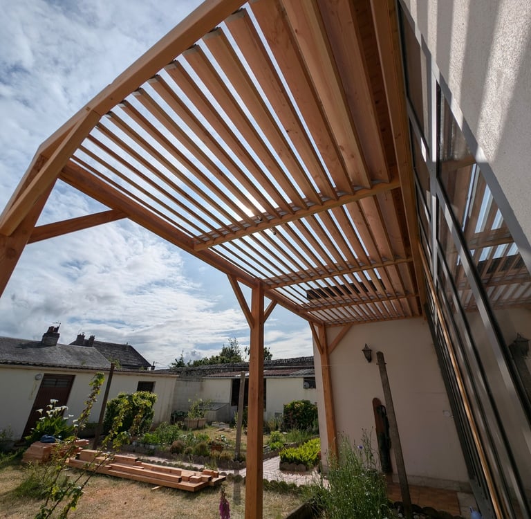 pergola en bois douglas