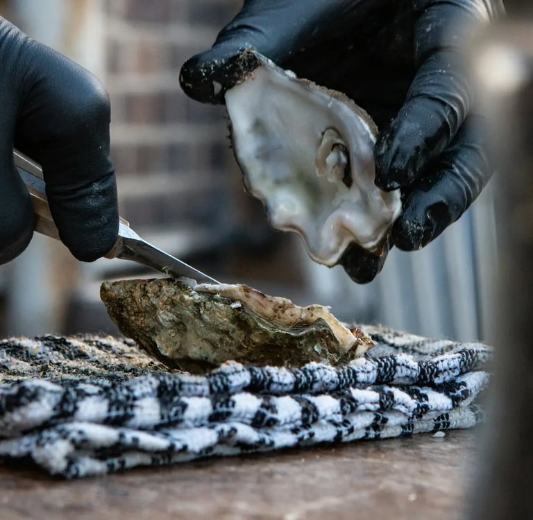 Une huitre ouverte par un écailler 