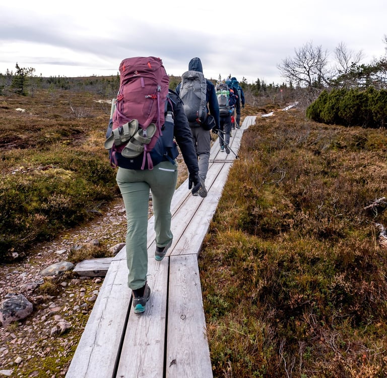 a group of people walking on a wooden decks through the grass fields in Sweden