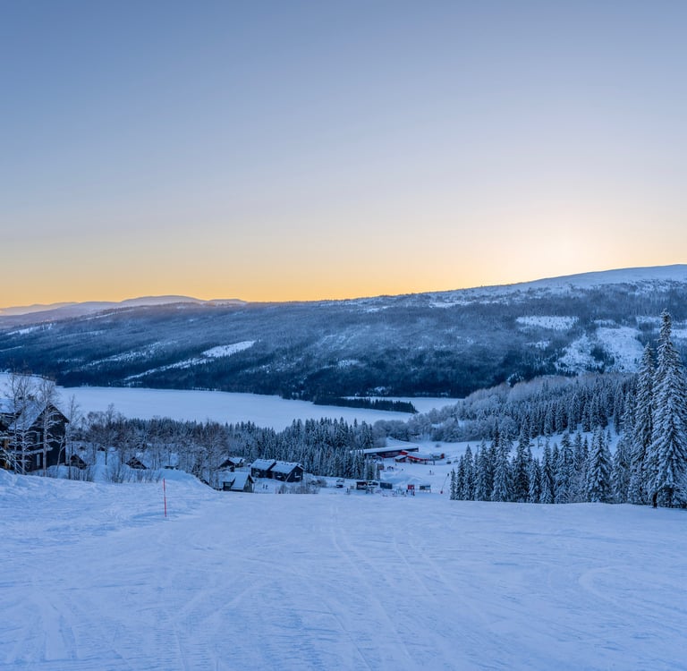 view of a snowy landscape on a piste during sunset