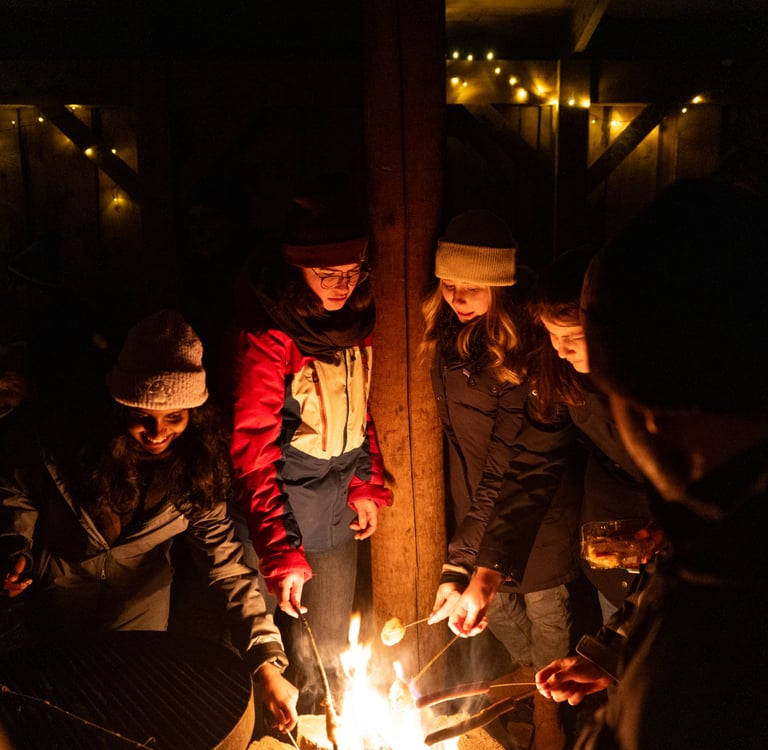a group of people standing around a bonfire