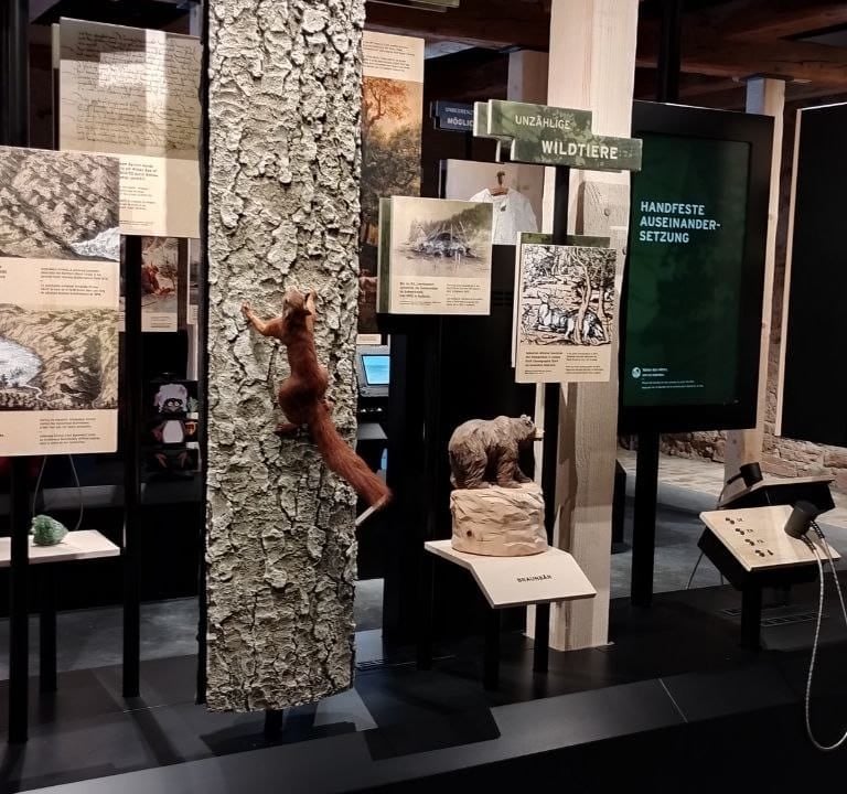 Ausstellung Herrenwies Nationalpark Haus