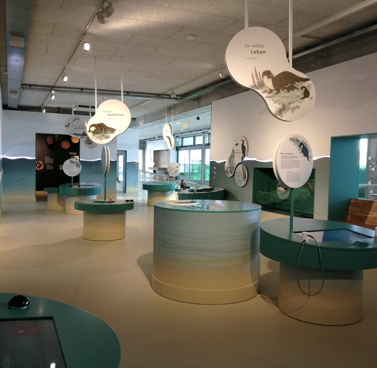 Ausstellung Watt.Land.Fluss Multimar Wattforum