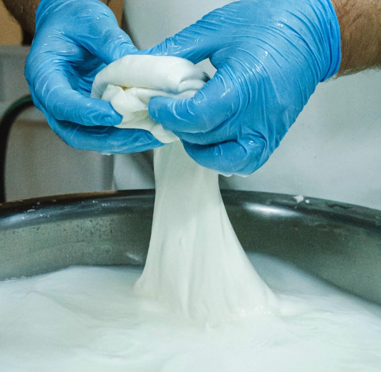 A chef in blue gloves stretching fresh mozzarella cheese over a traditional whey bath.