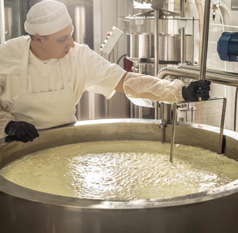 Professional cheesemaker using a curd cutter in a large stainless steel vat at a cheese production factory.