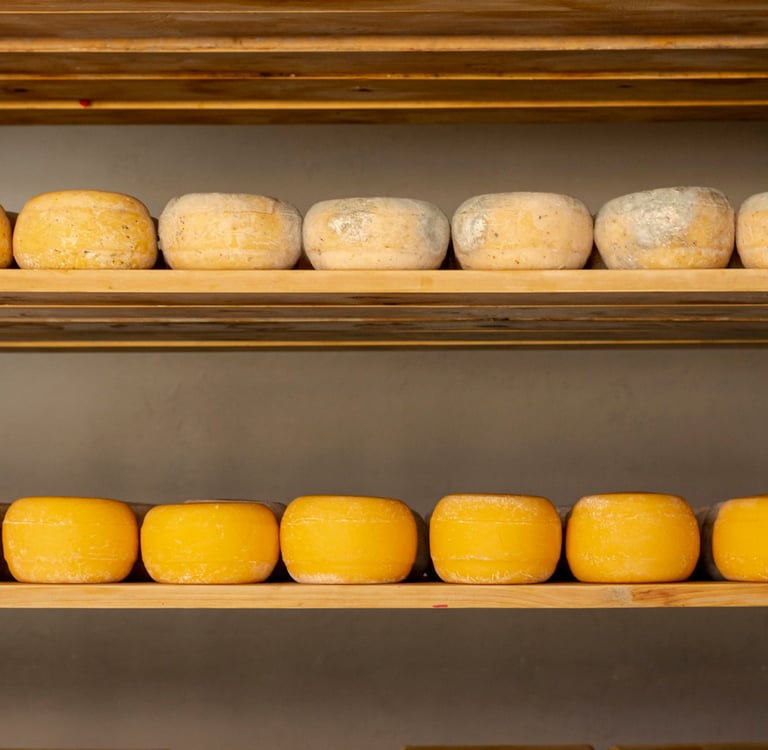 cheese types in cool room on the shelves 