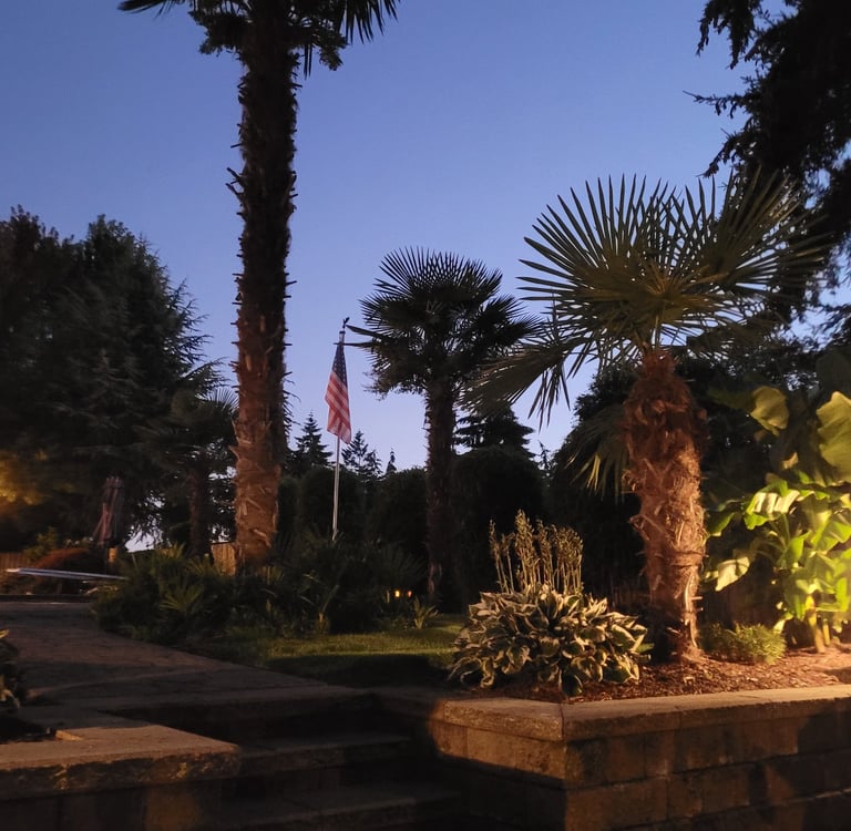 windmills in america