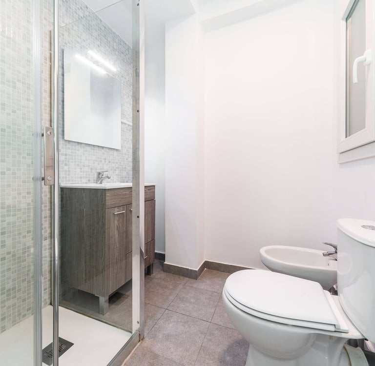 Modern bathroom with shower and bidet, Anne apartment San Sebastian