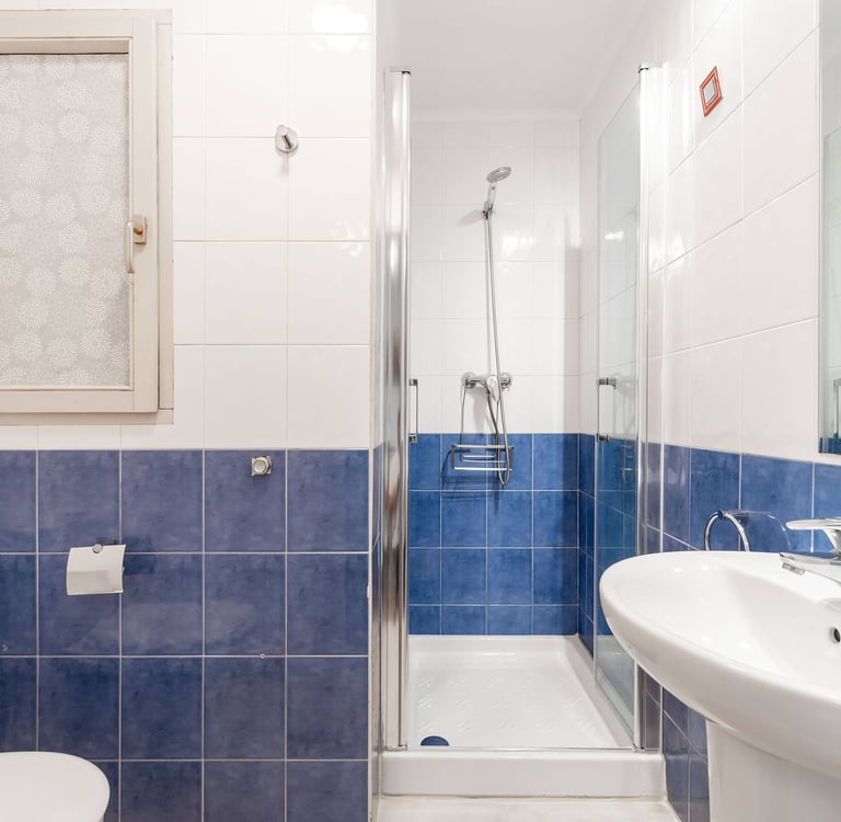 Second bathroom with shower, Anne apartment San Sebastian